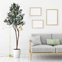 ����ֲ����;Gɫ�ȼ����Ҿ��҃ȿ͏d��ؔ[���٘����Ա��W�L�Gֲ