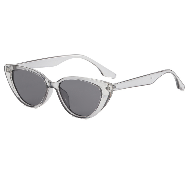 Fragata gris transparente