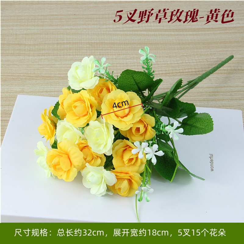 Wild grass rose yellow