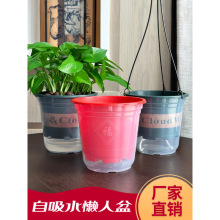 懒人花盆自动吸水白色塑料水培吊兰绿萝家用透明营养土专用工厂