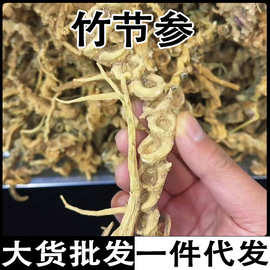 竹节参 天王参 龙骨参 嘢生竹节参竹节三七竹节人参疙瘩七竹根