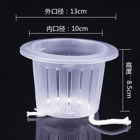 植木鉢植栽バスケット 水耕植物ガラス花瓶 グリーンソーン植栽バスケット 無土壌栽培花 浅型根固定剤|undefined