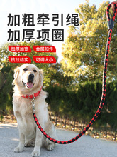 狗狗牵引绳大型犬中型犬宠物狗链子项圈金毛萨摩耶哈士奇遛狗绳子