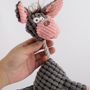 �羳ֱ������ɐۿ�ͨ�H�l��ҧë�q������K���׽q�l�������