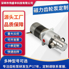 定制不锈钢微型齿轮泵 化工灌装磁力驱动计量泵耐腐蚀自吸齿轮泵