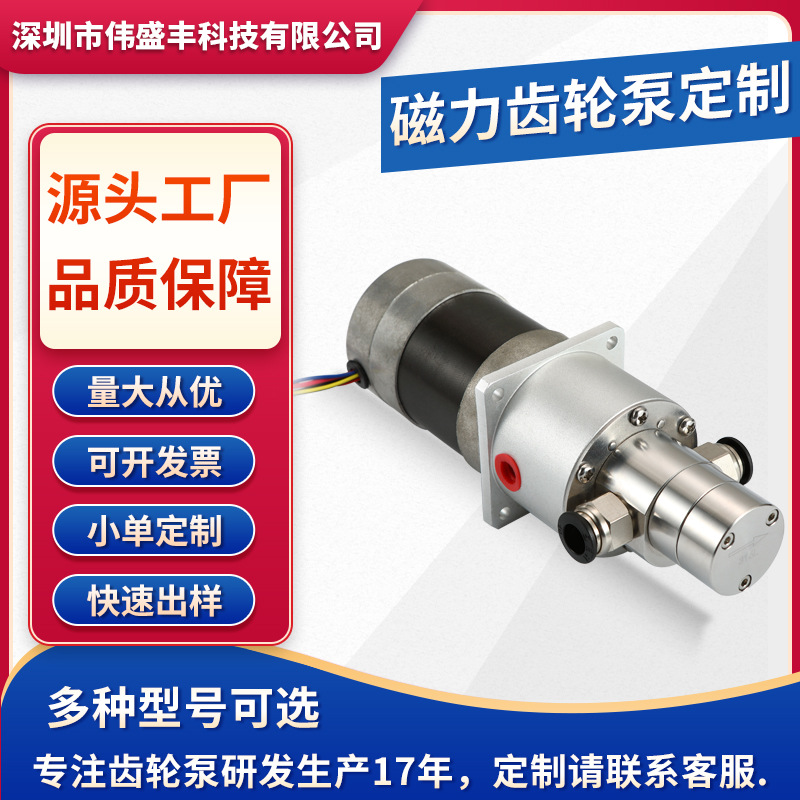定制不锈钢微型齿轮泵 化工灌装磁力驱动计量泵耐腐蚀自吸齿轮泵