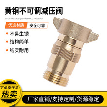 �p���y-�S�~�o�U�����������{�p���y �p���y�M���������ò��׸��g