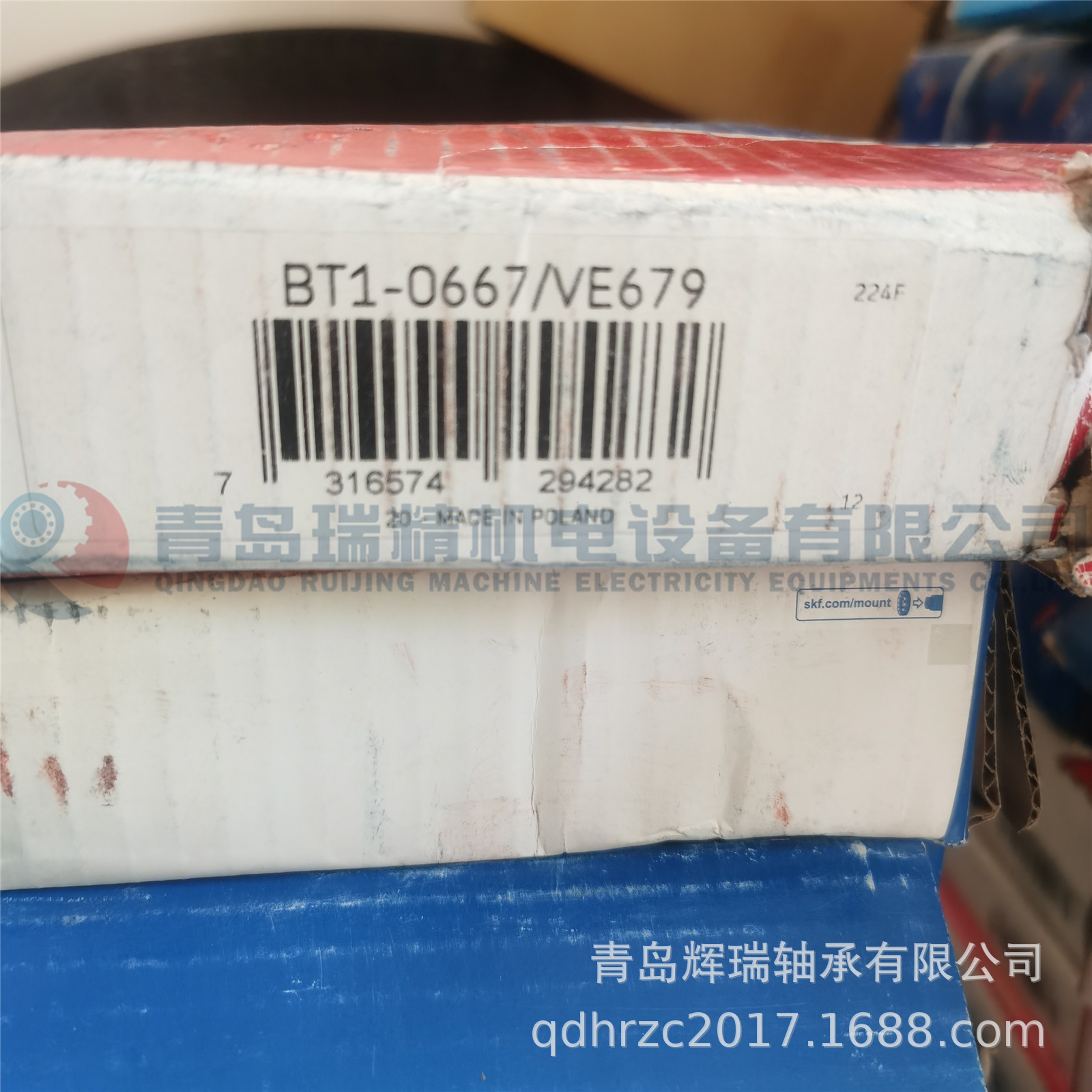 SKF BT1-0667-VE679.jpg