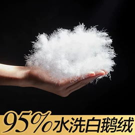 羽毛、羽绒