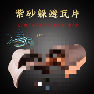 �����~���ǿ�����Ƭ��ܹ޶������ɰ��ֳ���~�װ������S����̨