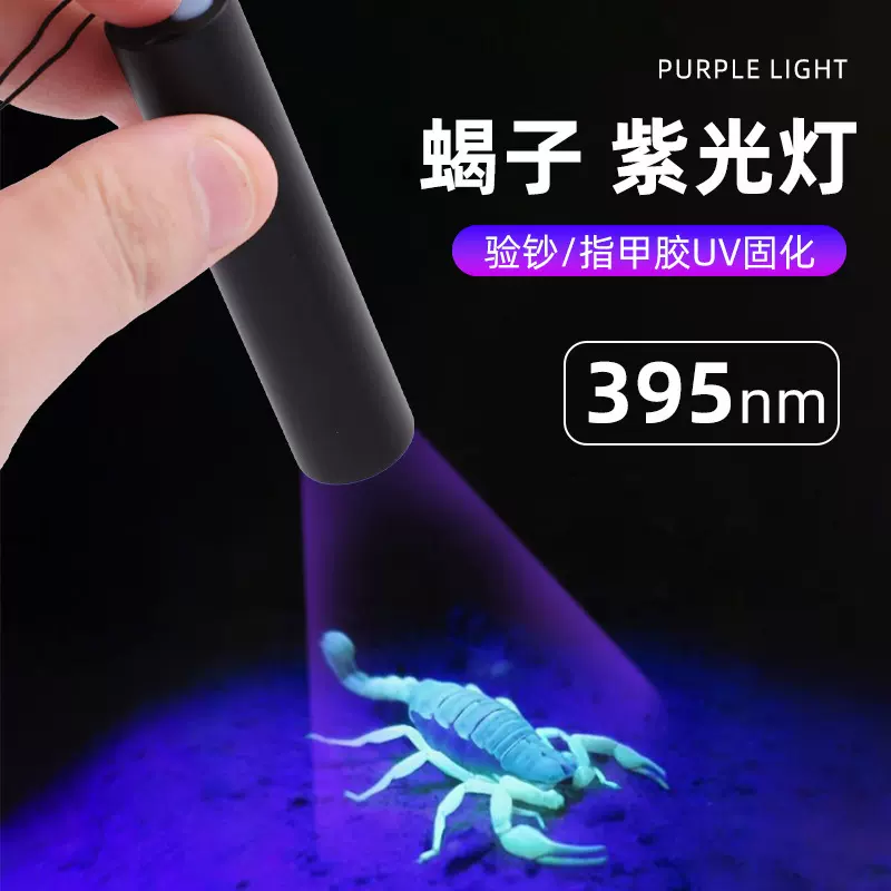 充电验钞395nm紫光灯紫外线紫光手持UV灯荧光剂鉴定led紫光手电筒