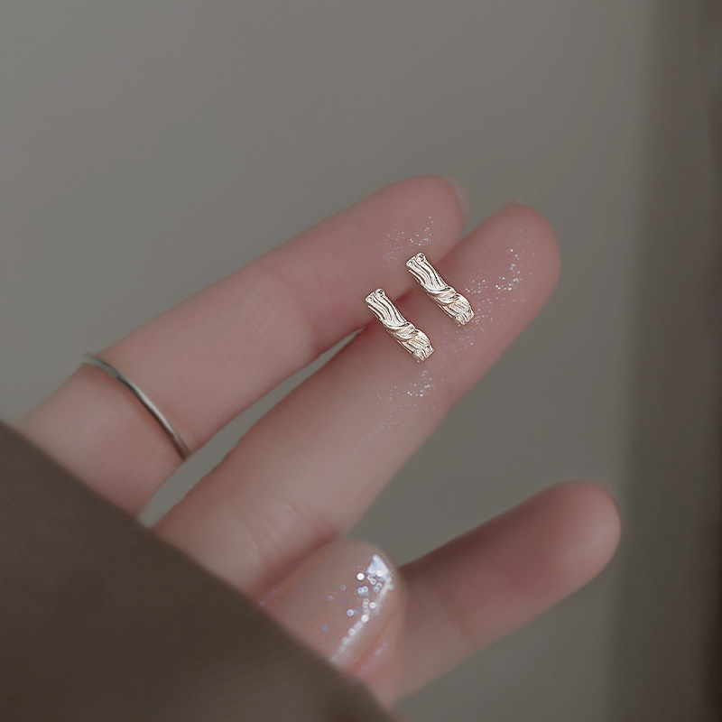 S pure silver patterned one character 2023 new trend, niche design, high-end feel, personalized earrings for women_voghion.com