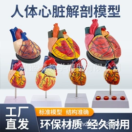 教学演示用品;学校课桌椅;医药教学器材