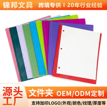 现货跨境热销pp文件夹蝌蚪夹防水三孔多色d型美式报告收纳文件夹