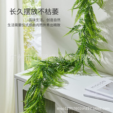 ���R�d�����ȼ���������� diy��˹����ֲ���ٗl�T���b��ٗl���