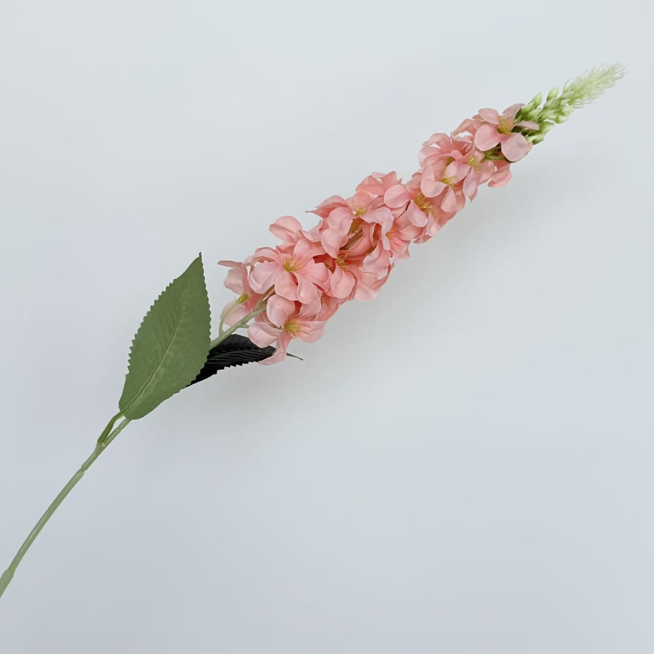 고기 가루