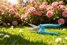 ���P�늹������FƤ����̺�����I�ò��P��p����Ǽ���79��