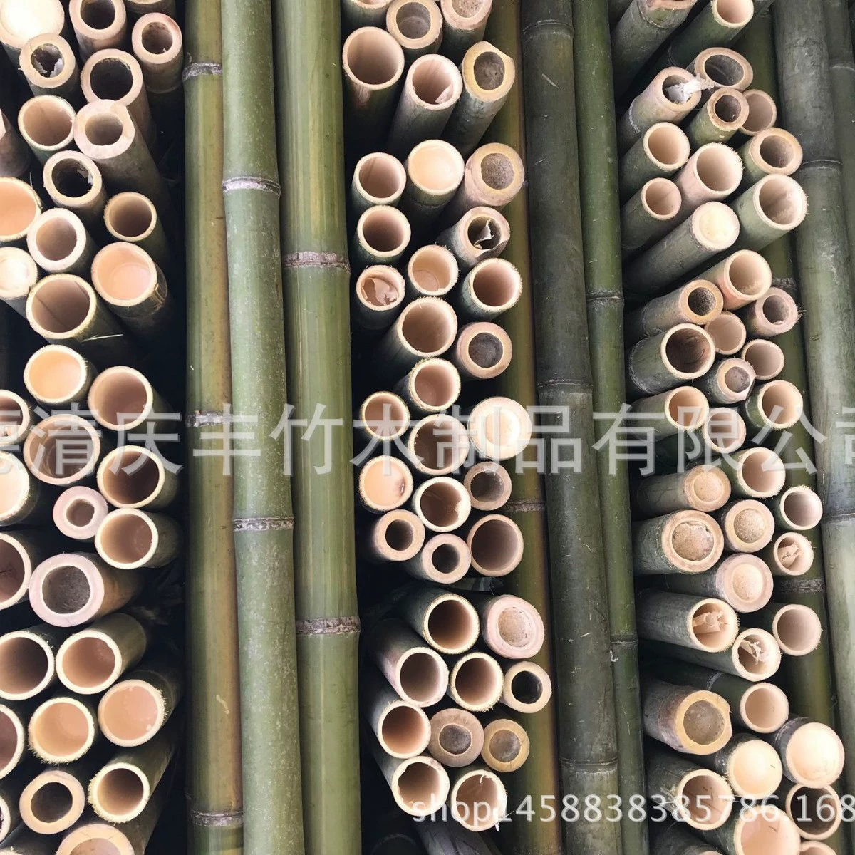 Поставьте большое количество источников Бамбуковый бамбуковый столб бамбуковый саженец Зеленая Опора сельскохозяйственная стойка для разведения бамбука