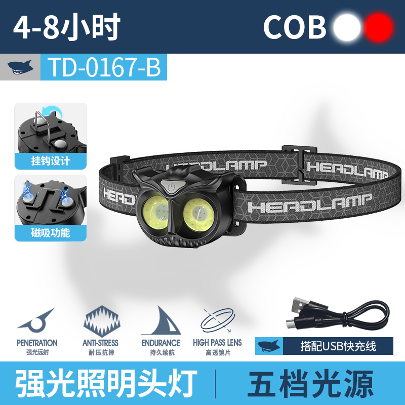 TD-0167-non-inductive type B