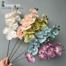 8ͷ�޷Ĳ������������ͻ������廨�Ҿ�װ�ΰڼ���羳����