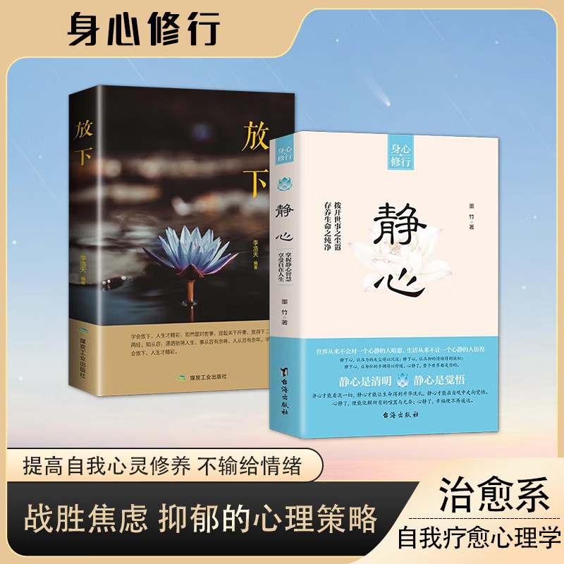 放下+静心自我疗愈情绪控制心理健康书籍人生智慧哲学正能量畅销