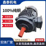 YE3全铜三相异步电机380V国标高效节能鑫泰YE3-80M2-4