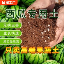 西瓜营养土果蔬通用盆栽种植土阳台有机肥料批发土壤种菜疏松