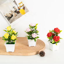 ���R�d������ĭõ�廨С���ԼҾ�����������滨�辰�[�����l