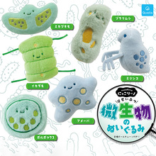 �ձ�����QUALIA ΢����ë�qϵ��Ť�� �����x�G��������������