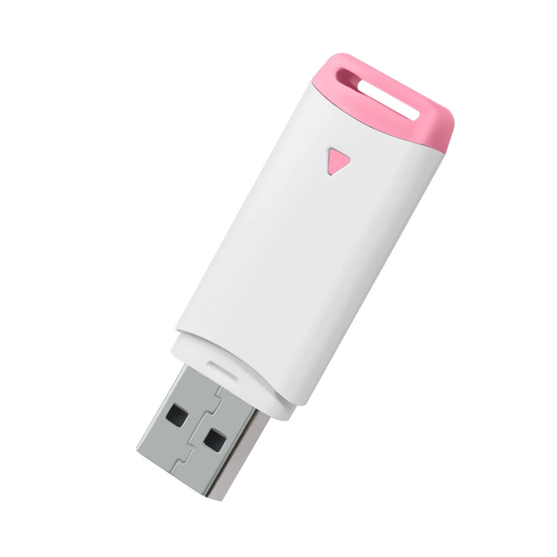 Маленький USB-флэш-накопитель, легкое хранение, 4G, 2 ГБ, 1 ГБ, индивидуальная настройка