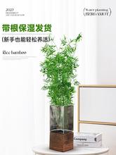 ˮ��ֲ�������҃����Ը��F���������辰�Gֲ����ˮ�����ӻ��ܺ��B