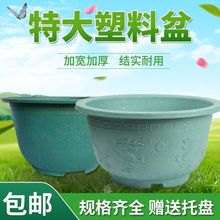 塑料大花盆庭院种树盆家用口径特大号地面种植加厚特大龙缸盆