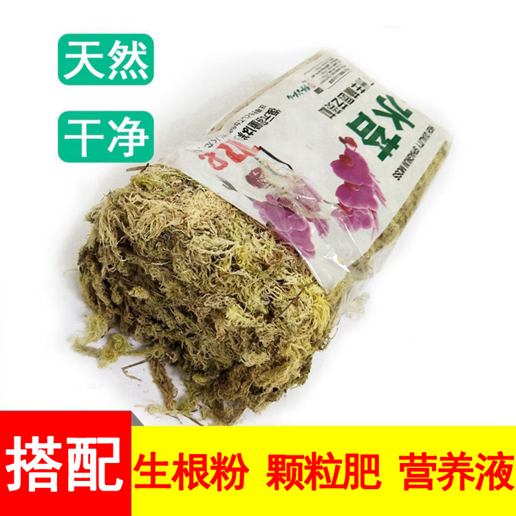 蝴蝶兰花石斛培养种植干水苔食虫猪笼草多肉植物水陆缸用隔离