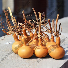 ��Ȼ�����������J������������С���J���������^���цζǺ�������