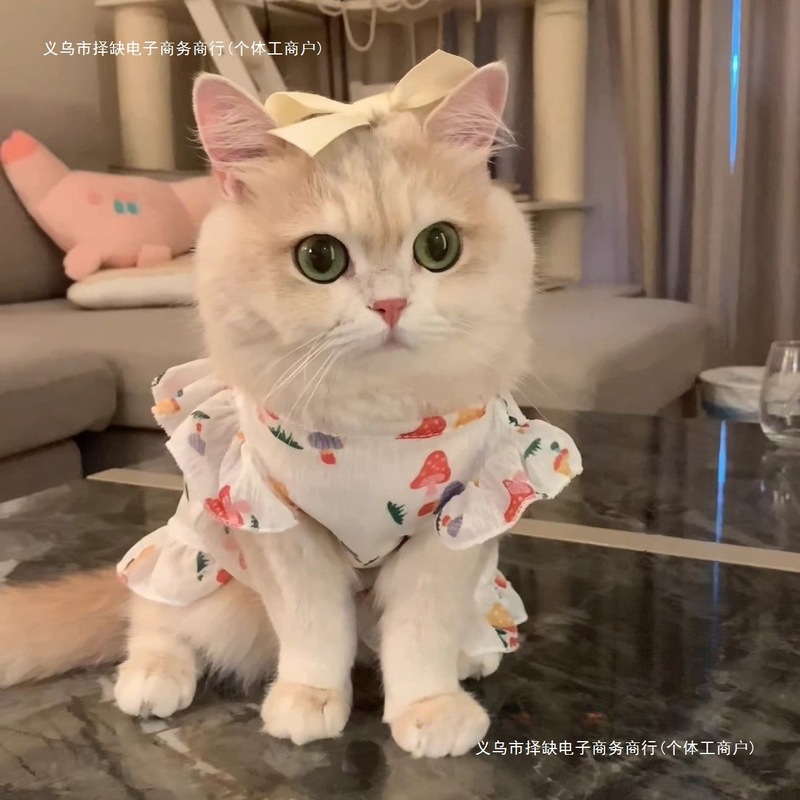 猫服、夏用薄手スカート、抜け毛防止空調服、犬用涼しい服、子猫用夏用ペット日焼け止め服|undefined