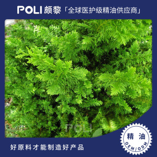 �S�uľ����ԭ�����l �H���ؾ�����޹�Ø� �o�w�aˮ�η�����