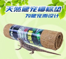 �羳 ���� �����B�䱣��|�� ����Ҭ�؉|�ă��x��Ҏ��