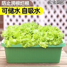 �N�����̨�����߲˷N�ˑ����L�������ϻ����L�l�ش�̖�Nֲ��