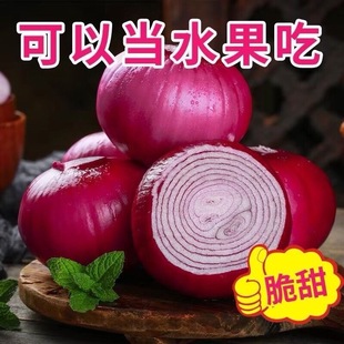 ���������Ƥ���[�A�[�[�^���r�����߲��r��������Լt���[�^