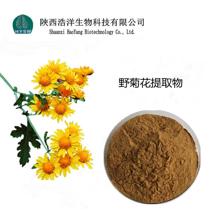 들국화 플라보노이드 4%