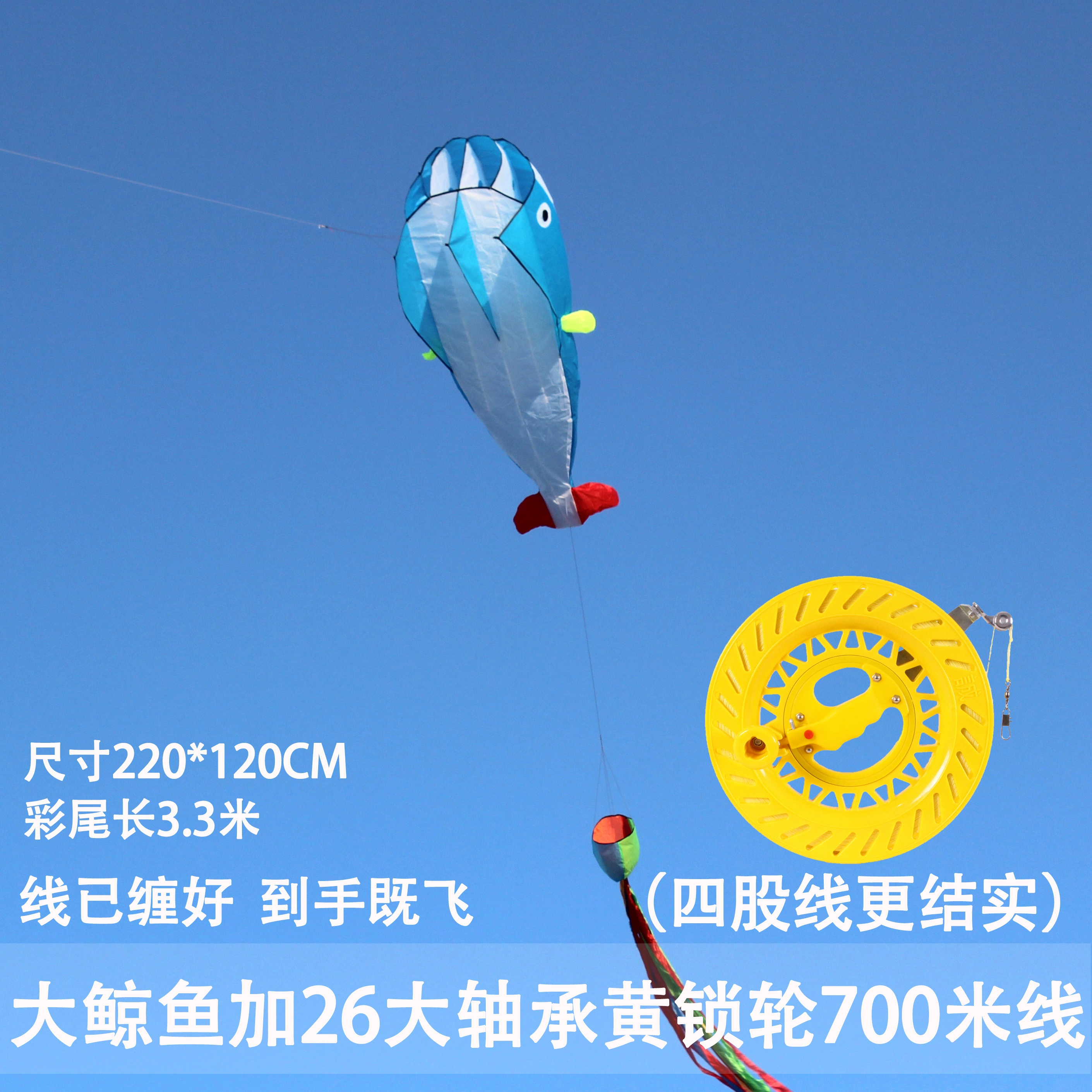 Kite for adults