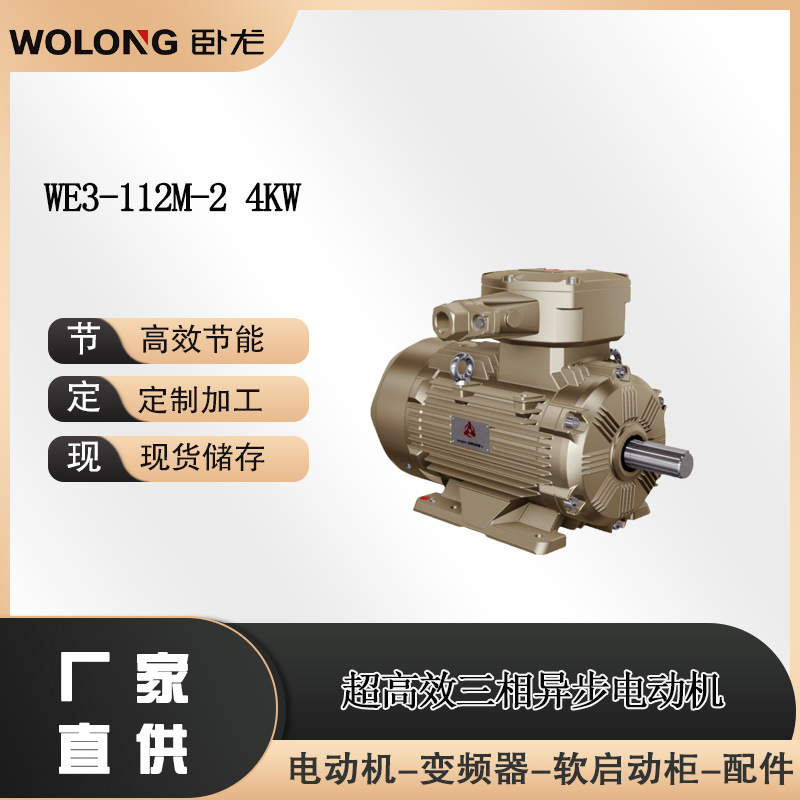 WE3-112M-2  4KW钻井平台用变频三相异步电动机 卧龙电气南阳防爆