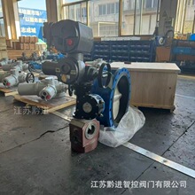 ZBK30V늄yTbWSD941X-10Q DN600zܷ늄ӵy