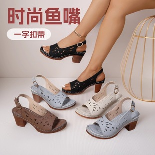 2026�����¿��a�羳�_�R�͹��L���U�Օr���⴩��ɫ����~���Ь