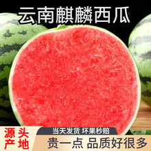 ����8424�����������ϱ�Ƥ���Ѻ������������������ˮ������