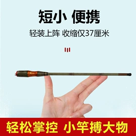 鱼竿;鱼竿支架;其他垂钓用品