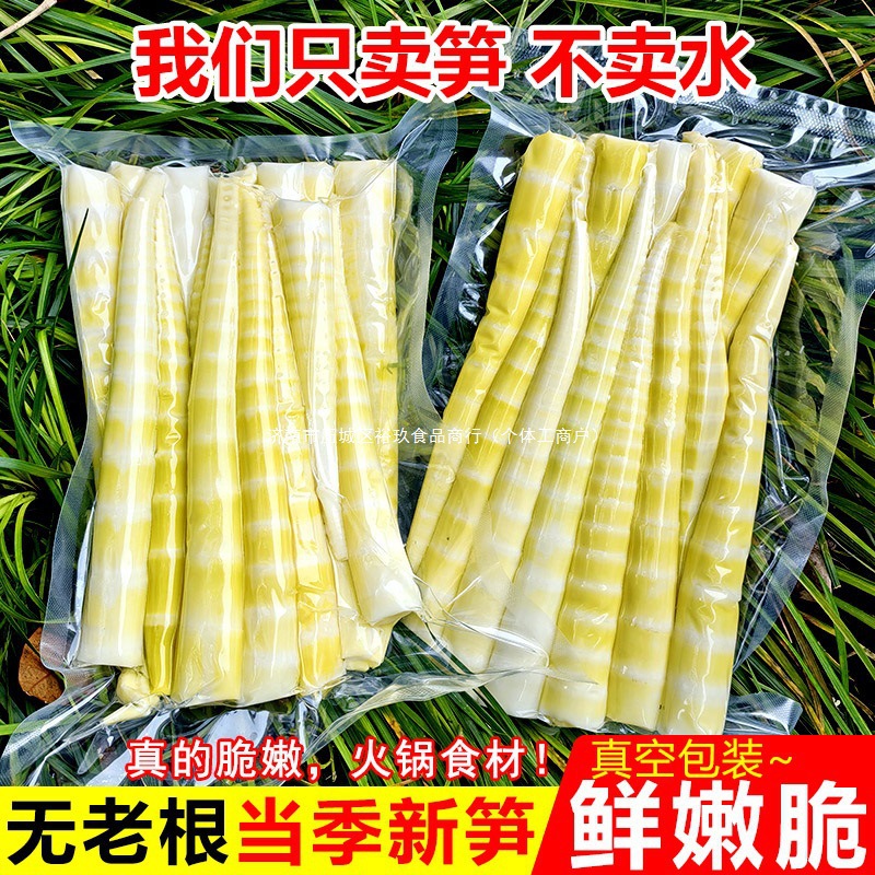 四川小竹笋新鲜嫩笋尖春笋罗汉笋野生方竹笋水竹笋商用食材火锅笋