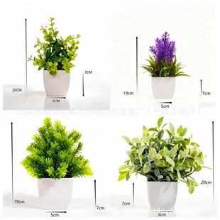 ���R�d�GֲС���ȼ���޹�²��^���������������Է����辰���l