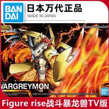 现货  Figure rise 战斗暴龙兽 TV版 动画版 数码宝贝FRS拼装