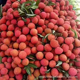 柚;香蕉;番石榴/芭乐